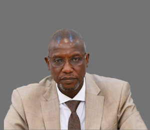 Gambia Vows Strict Action Against Tribalism in Politics