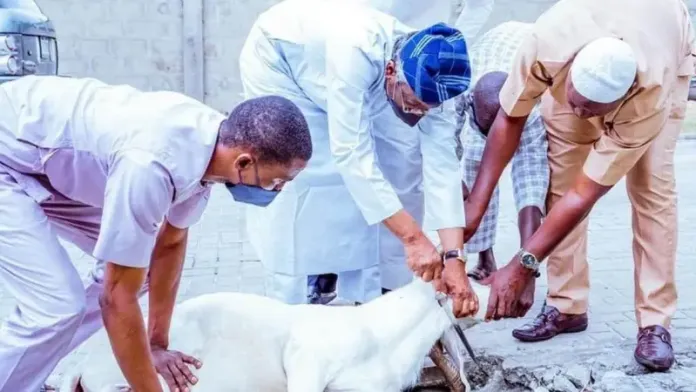 Embracing Eid al-Adha: A Guide to Prophetic Practices