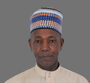 Gambia to Release Local Government Inquiry Report and Response by August