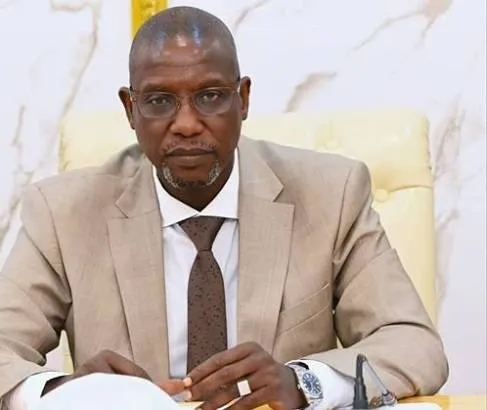 Gambia Proposes Stricter Penalties for Migrant Smuggling